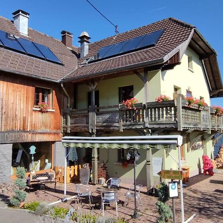 Les 4 Saisons Hotel Kruth Buitenkant foto