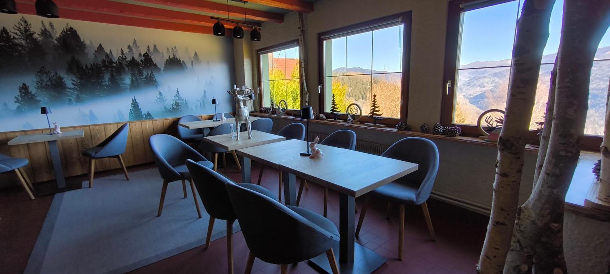 Les 4 Saisons Hotel Kruth Buitenkant foto